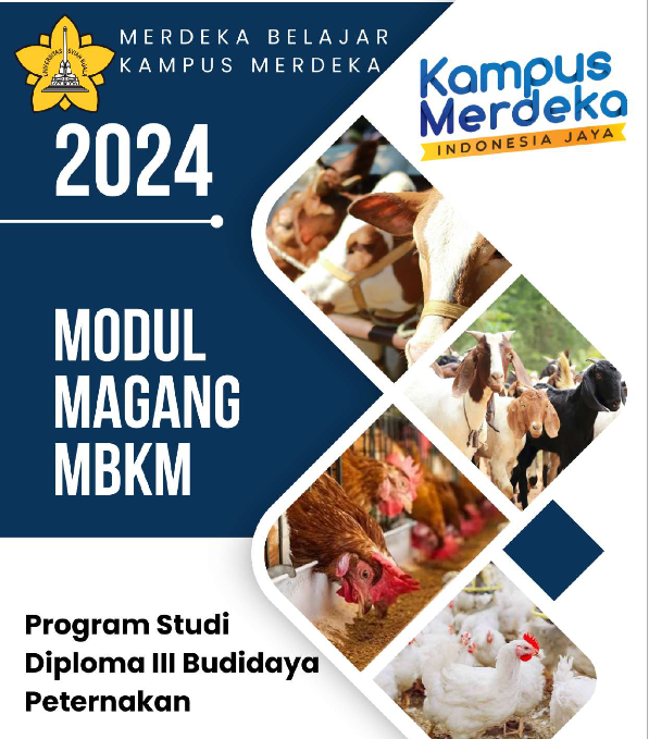 mbkm